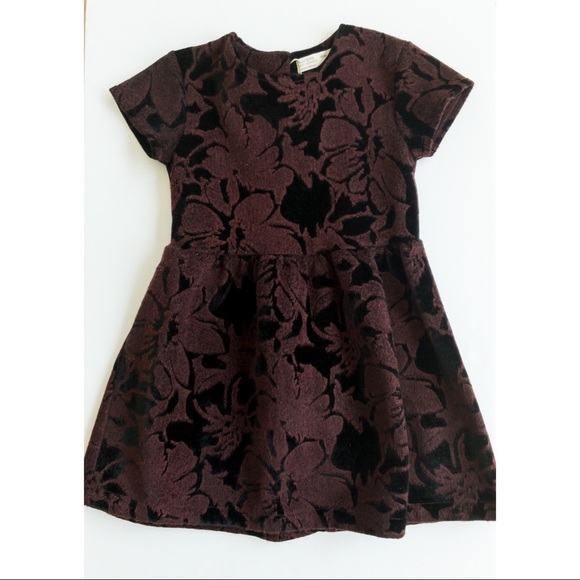 Zara Other - NWT Size 7 Zara Burgundy with Black floral Embossed Dress